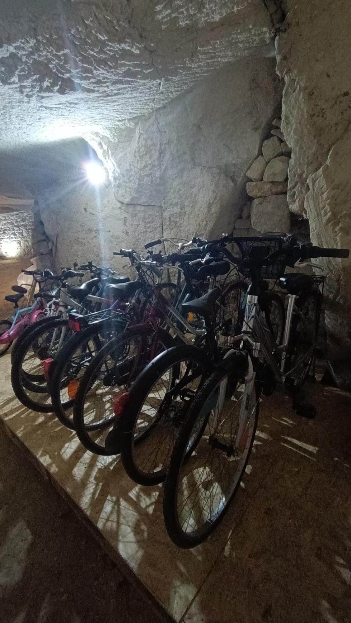 Meuble De Tourisme Petit Chail Saint Savinien 外观 照片